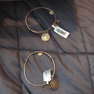 Alex and Ani Bracelets